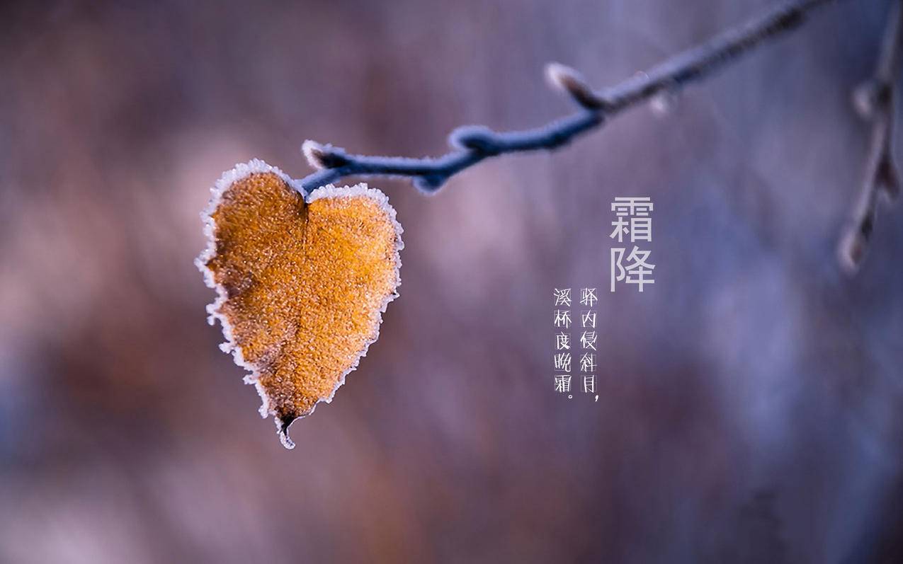 网红商城
